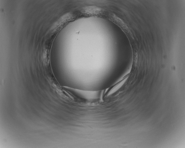 X0000083620428200703051614