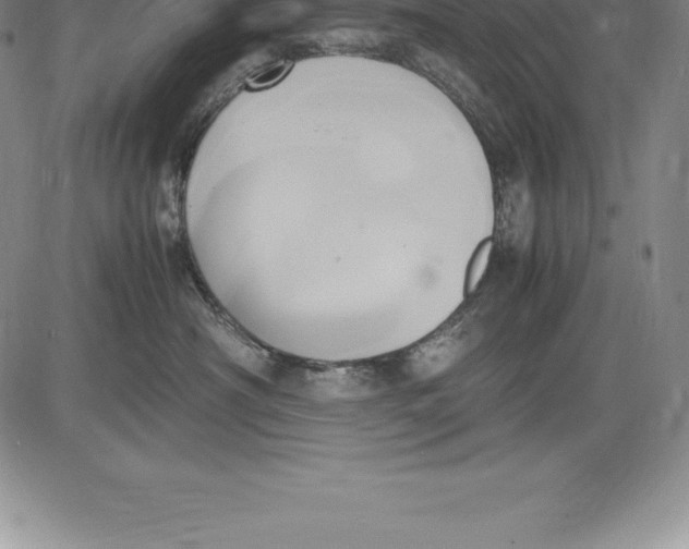 X0000083620430200703051614