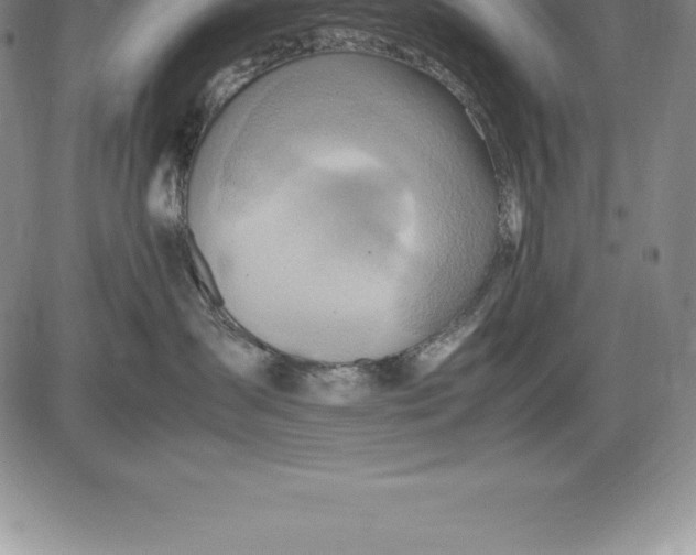 X0000083620431200703051614