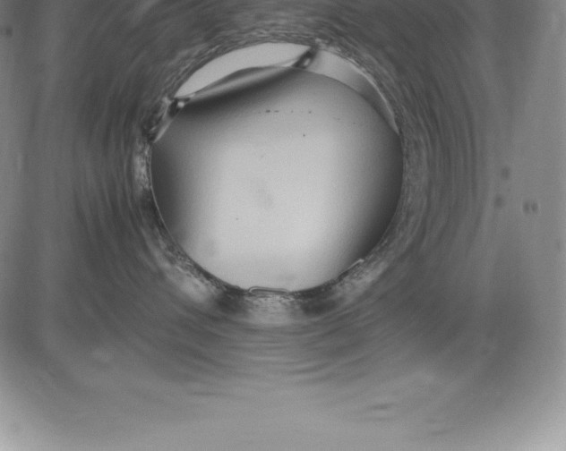 X0000083620432200703051614