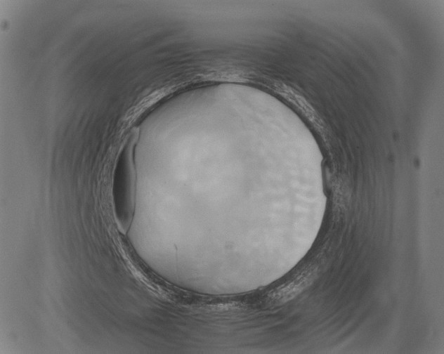 X0000083620433200703051613