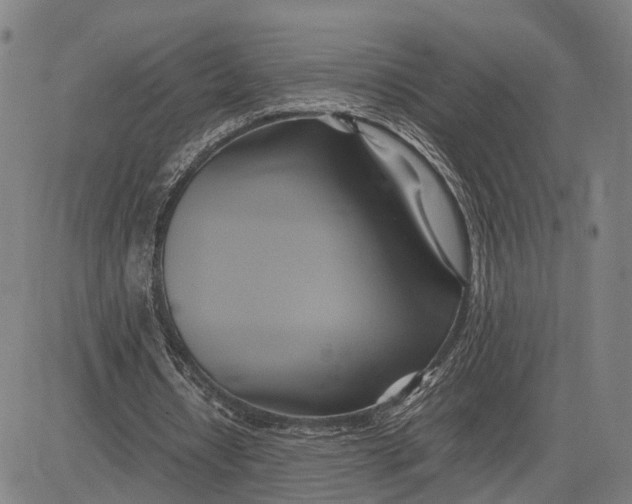 X0000083620434200703051613