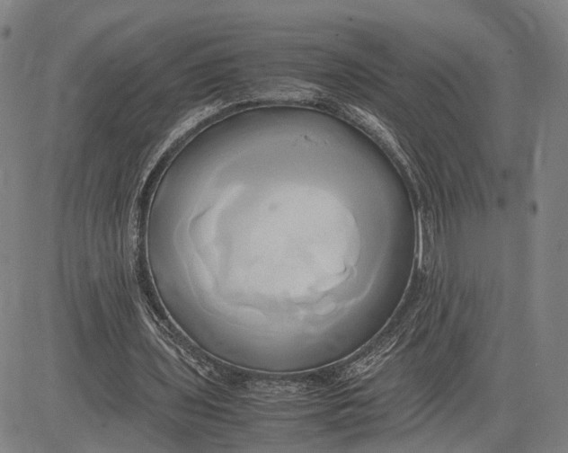 X0000083620435200703051613