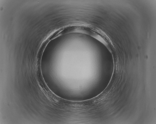 X0000083620436200703051613