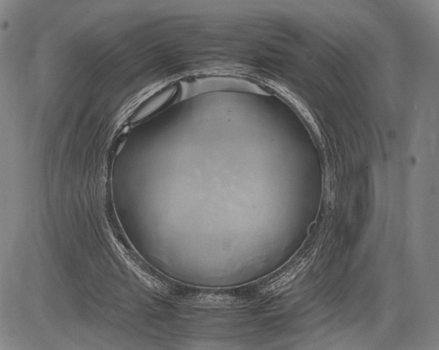 X0000083620437200703051613