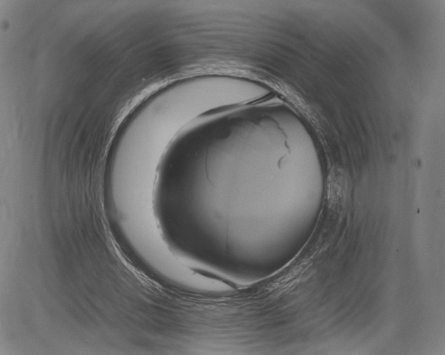 X0000083620438200703051613