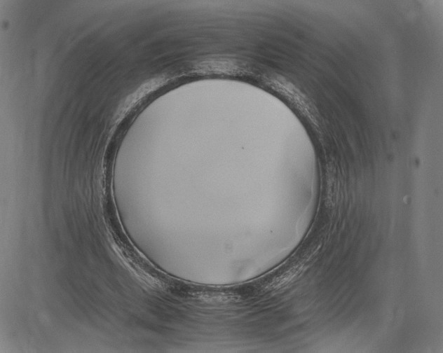 X0000083620439200703051613