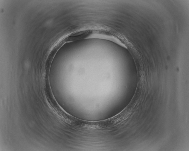 X0000083620440200703051613