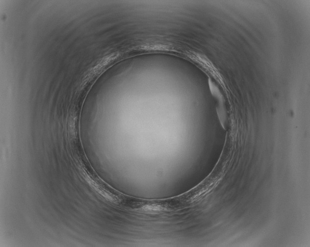 X0000083620441200703051613