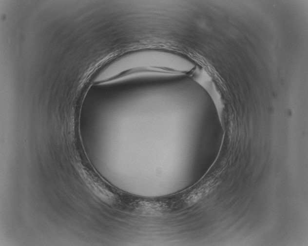 X0000083620442200703051613