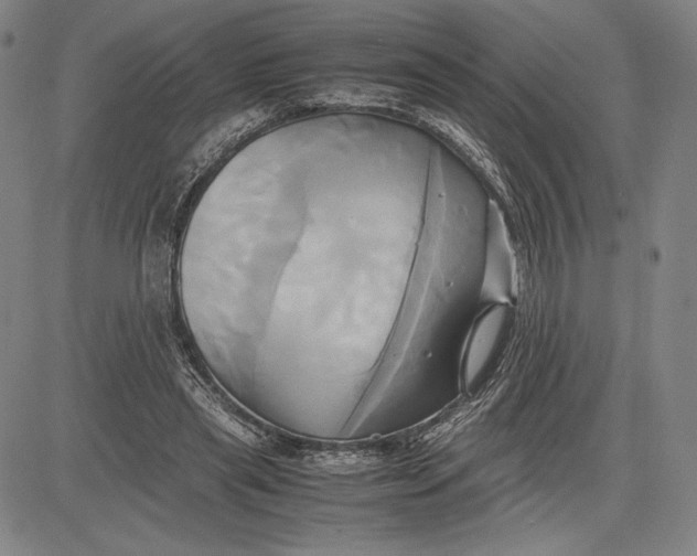 X0000083620445200703051613