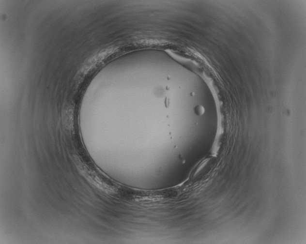 X0000083620447200703051613