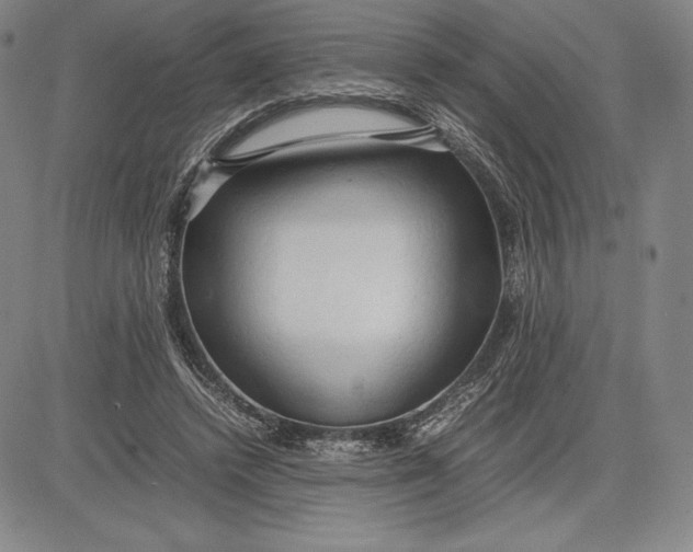 X0000083620448200703051613