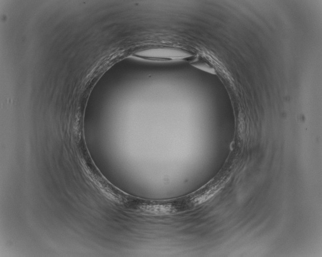 X0000083620449200703051613