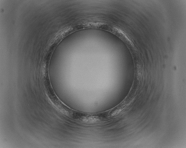 X0000083620451200703051613