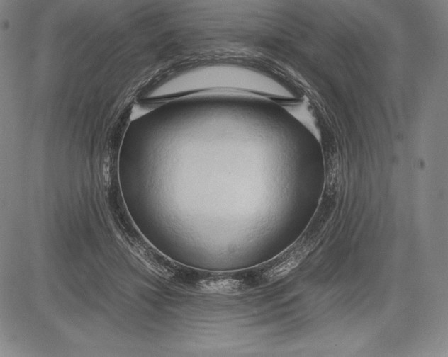 X0000083620452200703051613