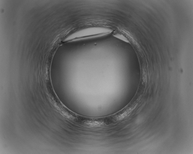 X0000083620453200703051613