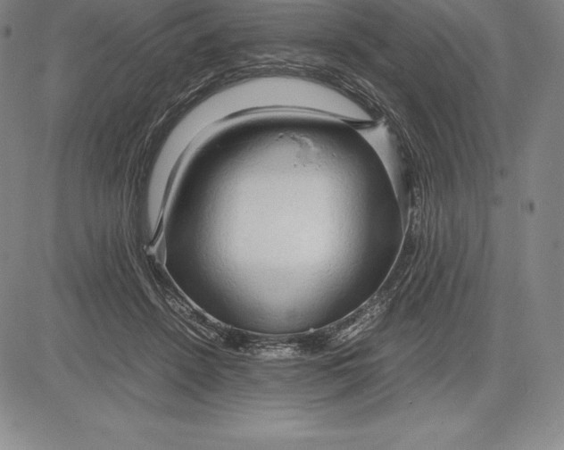 X0000083620456200703051613