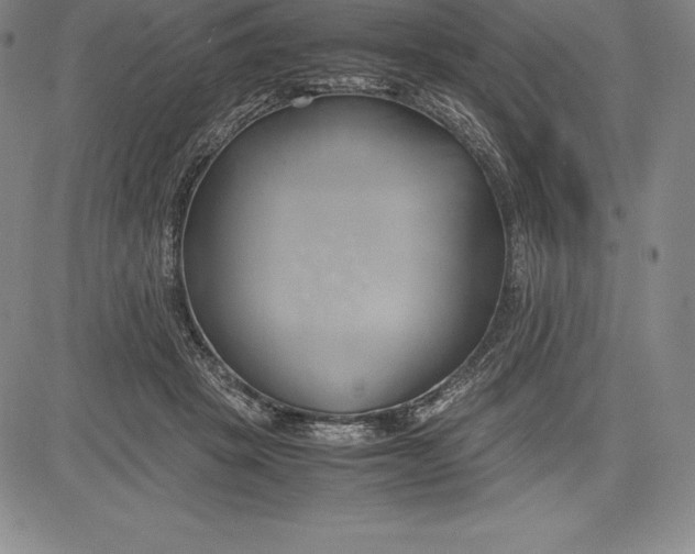 X0000083620457200703051613