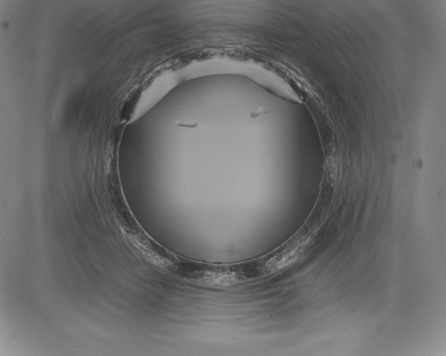 X0000083620458200703051613