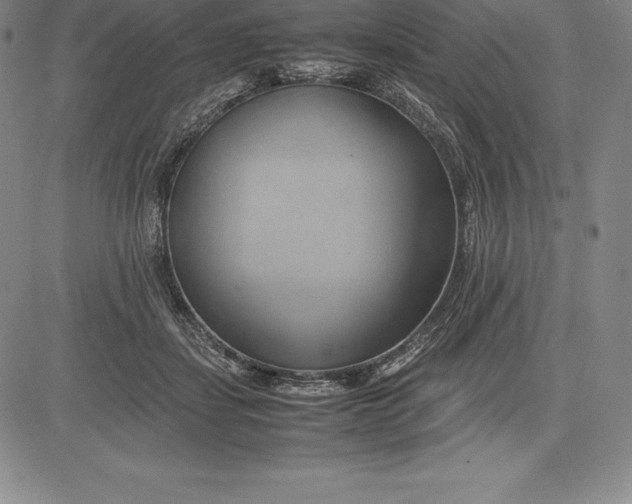 X0000083620459200703051614