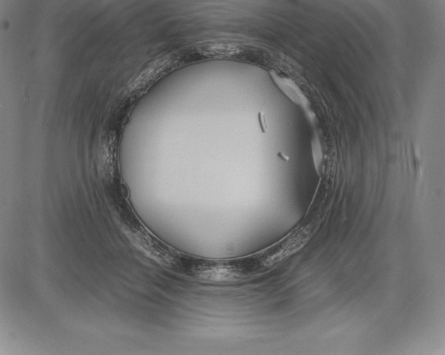 X0000083620460200703051614