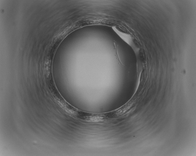 X0000083620462200703051614