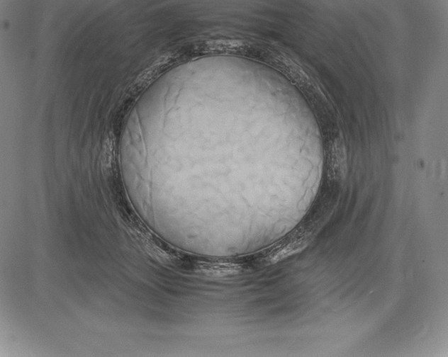 X0000083620463200703051614