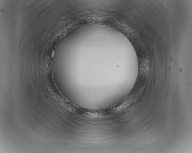 X0000083620464200703051614