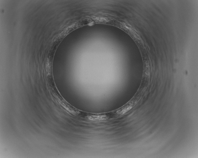 X0000083620465200703051614