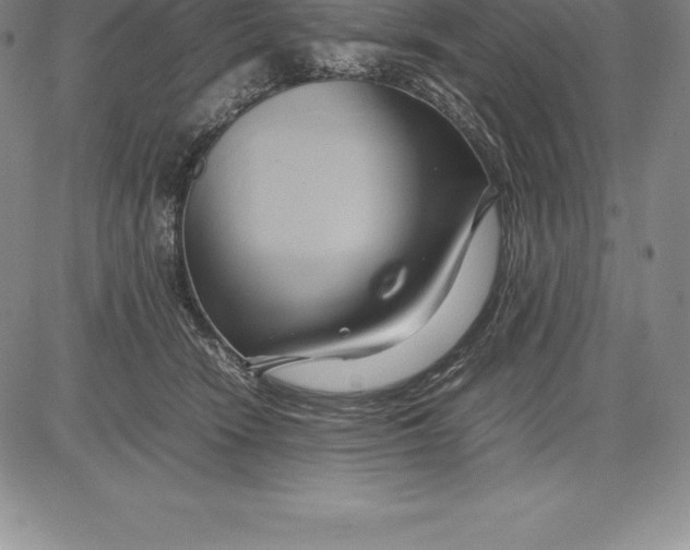 X0000083620466200703051614