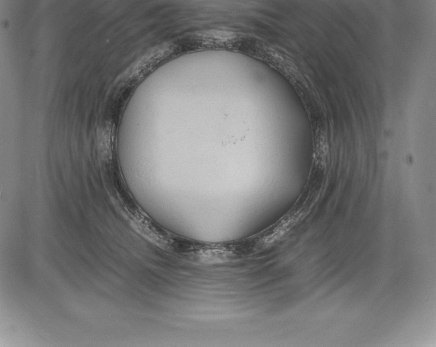 X0000083620468200703051614