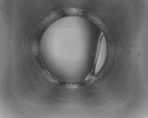 X0000083620469200703051614