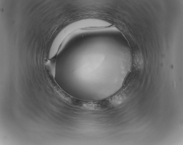 X0000083620470200703051614