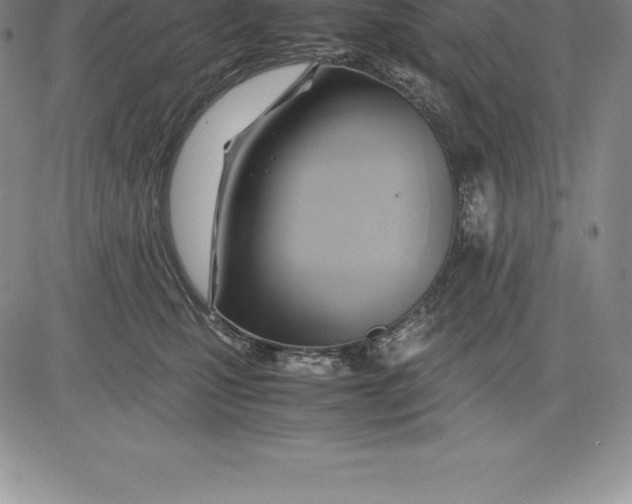 X0000083620471200703051614