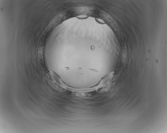 X0000083620473200703051614