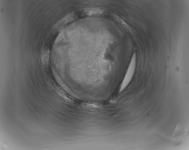 X0000083620475200703051614