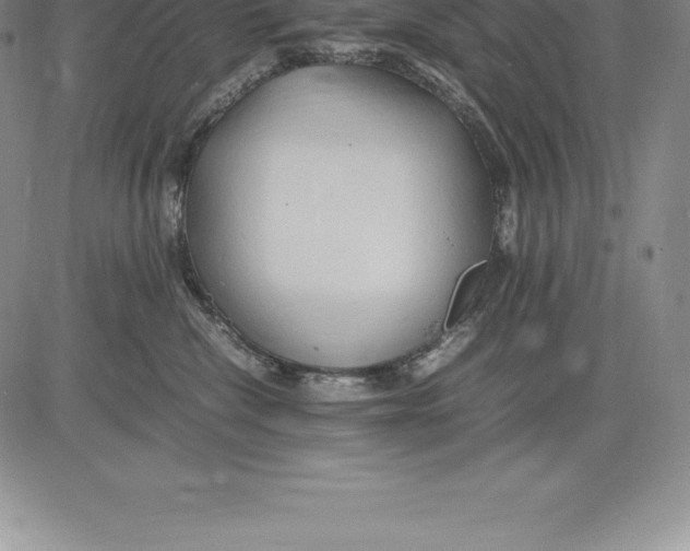 X0000083620476200703051614