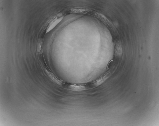 X0000083620477200703051614