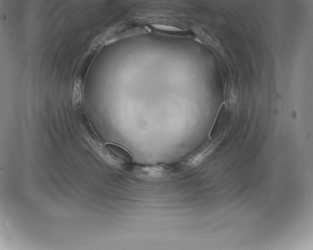 X0000083620478200703051614