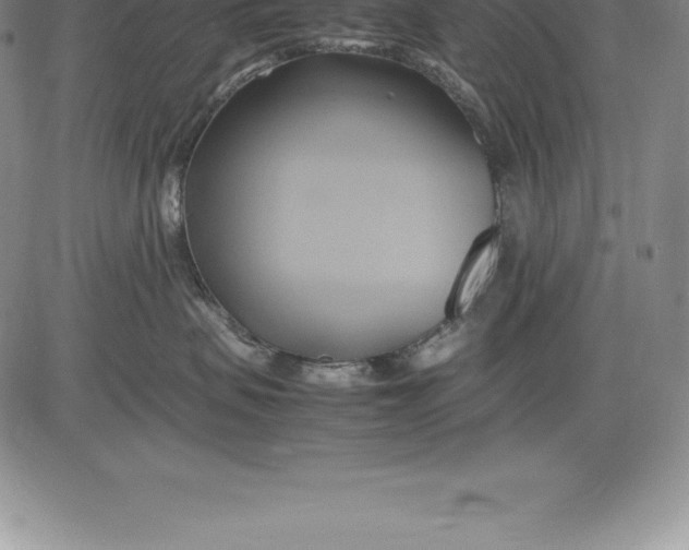 X0000083620479200703051614