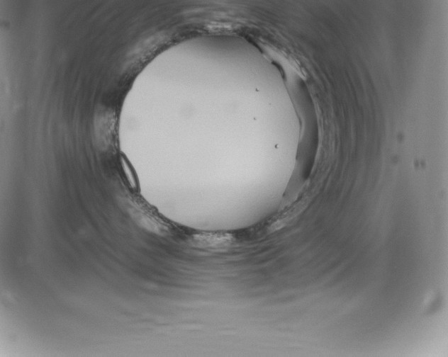 X0000083620480200703051614