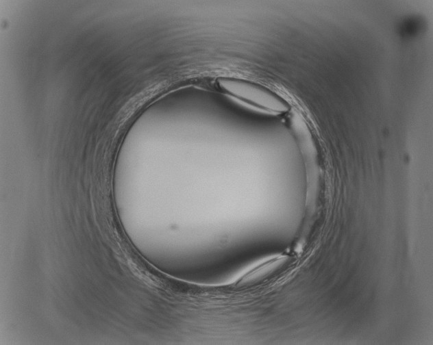 X0000083620481200703051613