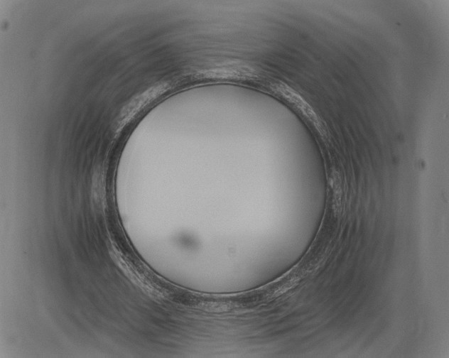 X0000083620482200703051613