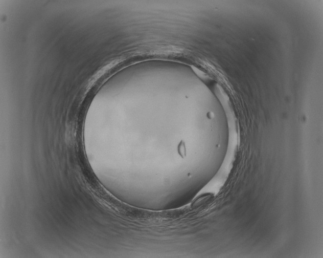 X0000083620483200703051613