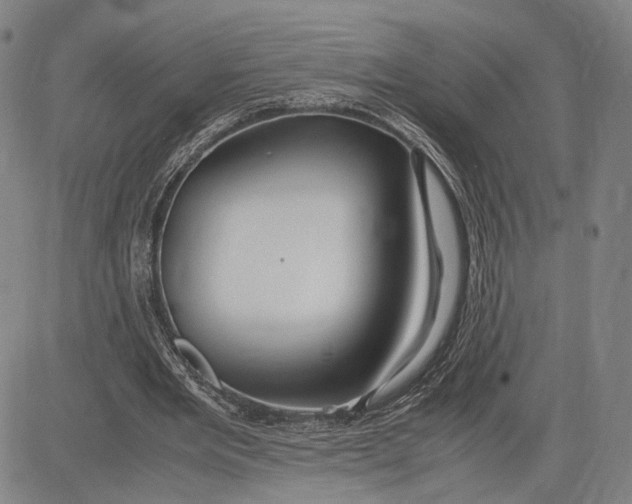 X0000083620485200703051613