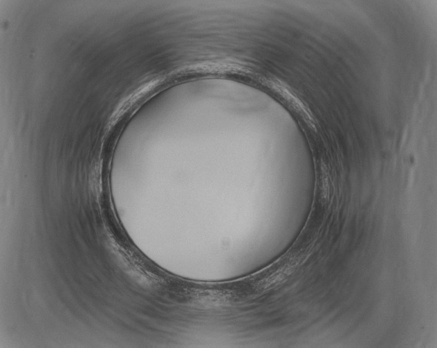 X0000083620486200703051613