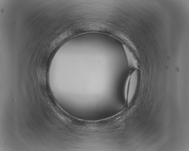 X0000083620489200703051613