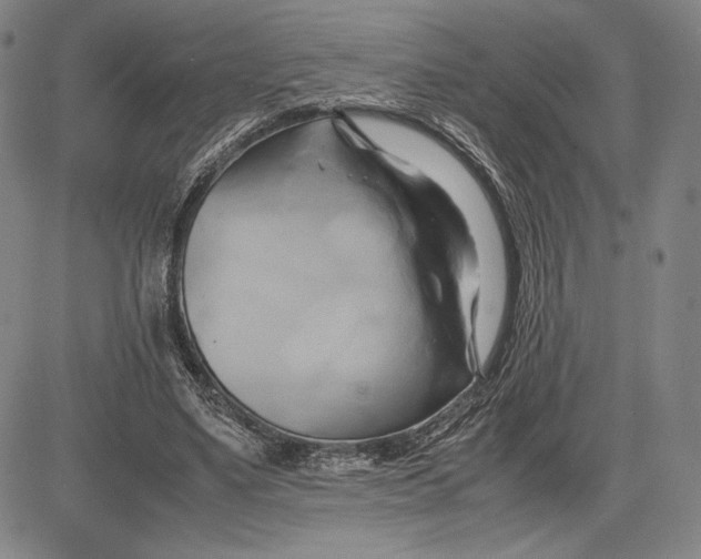 X0000083620491200703051613