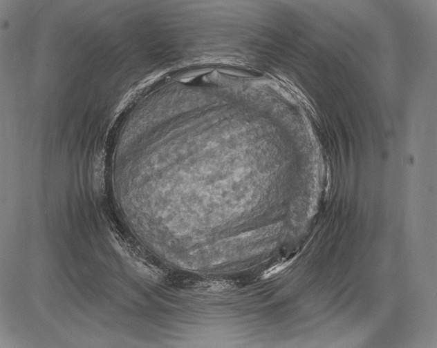 X0000083620492200703051613